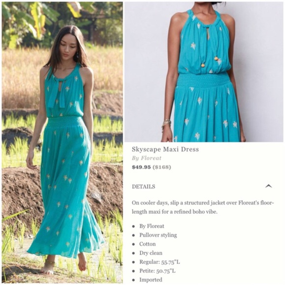 Anthropologie Skyscape maxi dress